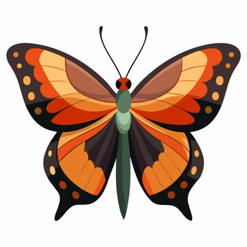 leafwing butterfly vector on white background