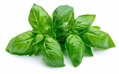 Fototapeta premium Organic Basil Leaves 3D Icon for Culinary Use Isolated on white background
