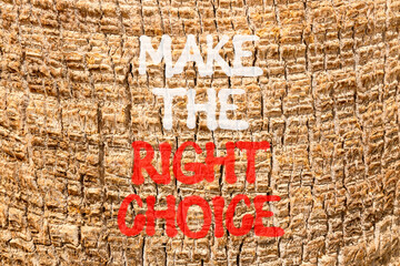 Make the right choice symbol. Concept words phrase Make the right choice on beautiful palm tree...
