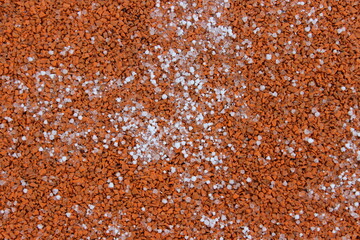 Round white snowflakes on the surface.
