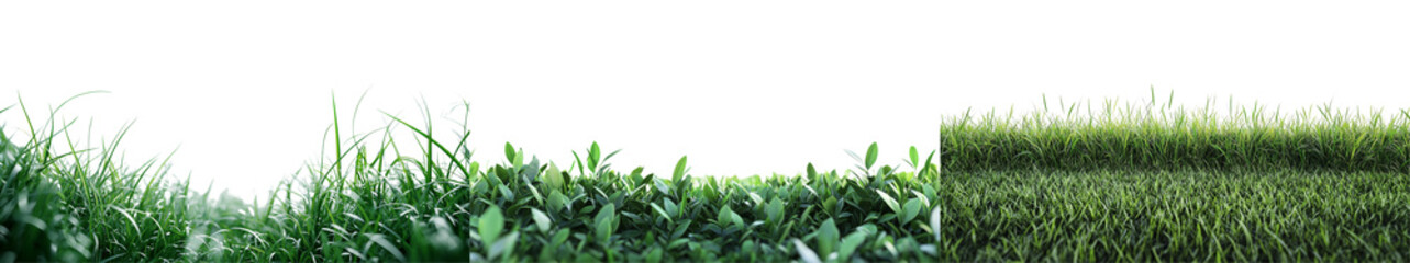 Obraz premium Lush Green Grass Background Perfect for Nature and Outdoor Themes in Creative Projects