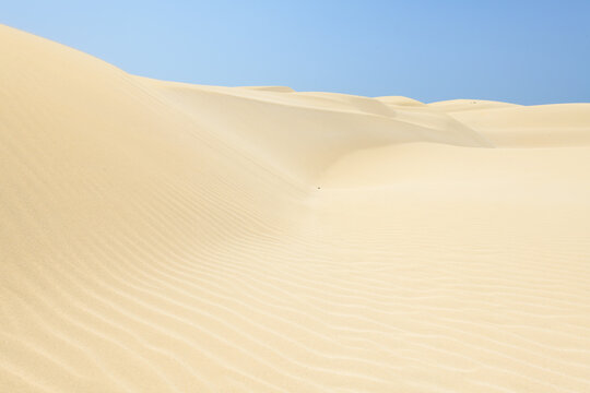 Boa Vista