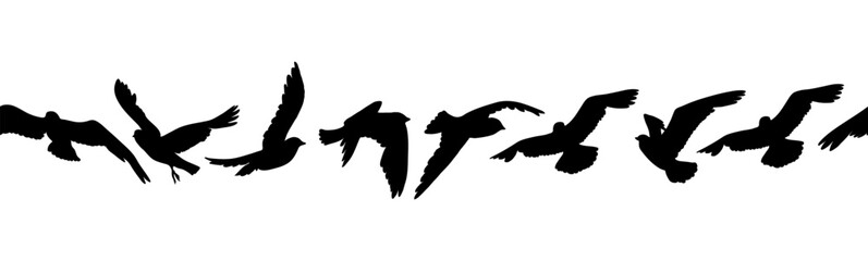 Seamless border with flock of flying birds silhouette. Black birds in motion on white background. Horizontal bird border design element. Minimalist bird flight banner or divider.