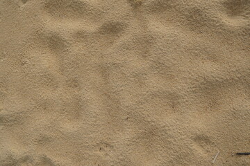 Close-Up View of Fine Grain Sand Texture on a Sunny Day at the Beach Shoreline