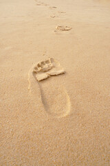 Footprints in Soft Sand Leading to the Horizon on a Calm Beach at Sunrise or Sunset