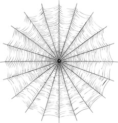 Obraz premium Intricate black and white spiderweb pattern, line art drawing. Vector illustration