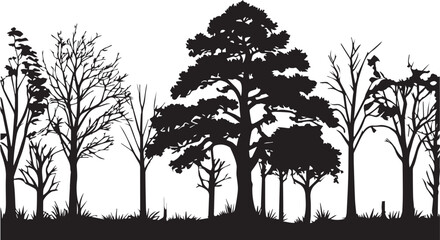 Obraz premium Forest Tree Silhouette Vector