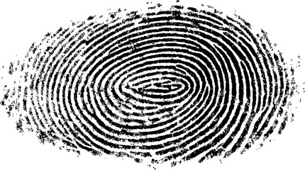 Grunge style black and white fingerprint pattern, identity concept. Vector illustration