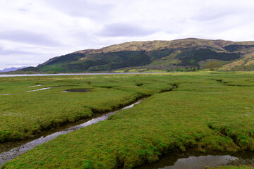 Fototapeta premium Lush greenery, amidst the Loch Leven flood plains, in Glencoe.