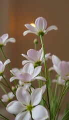 Fototapeta premium vase filled with white flowers on top of a table
