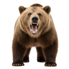 Obraz premium Grizzly Bear AI Generated Image