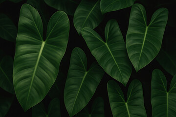 Lush tropical leaves with rich texture and deep shades of green create a natural, abstract pattern. Dramatic lighting highlights the details of each leaf, evoking the beauty and serenity of nature. Pe