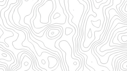 topography white background and black line wireframe isoline location diagram world map texture design.	

