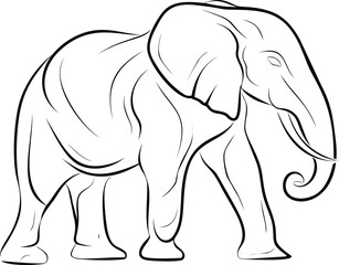 Fototapeta premium Line drawing of a walking elephant outline with flowing lines. Vector illustration