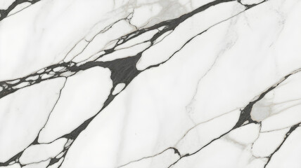 Full-frame 2D white spider calacatta marble slab with ultra-thin black veins across a pure white base.