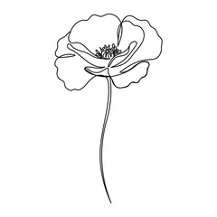 Poppies flower continuous line drawing. Abstract minimal poppy. Editable vector line. Poppy flower icon, logo, label.