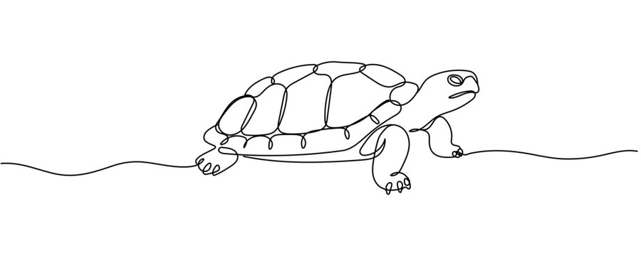 Sea turtle one line art drawing. Minimal abstract turtle swimming in the ocean. Editable stroke