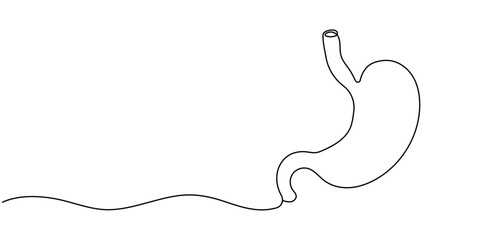 Single continuous line of Stomach. Line art of Stomach human organ. Trendy minimalistic style. Vector illustration. Editable stroke
