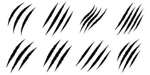 Black claw scratches. Bear tiger claws trails, animal scratched white paper. Lion or dinosaur flat scratch marks, racy wild beast tracks vector clipart