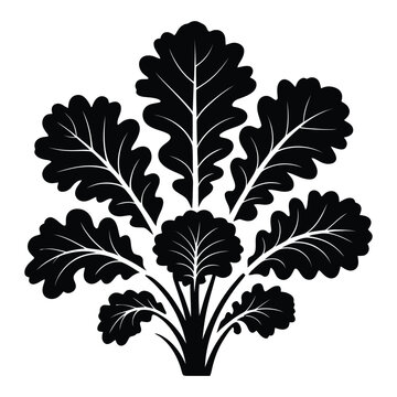 Kalettes Silhouette, Vector, Illustration, Icon, Logo, White Background.