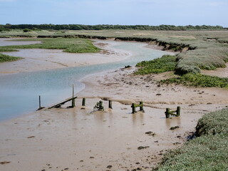 Mud flats in Pagham Harbour