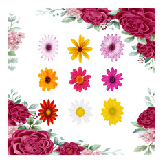 set of colorful flowers