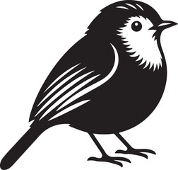 Obraz premium Robin Bird Black Silhouette Vector, Garden Songbird Clipart & Nature Design