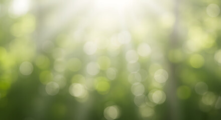 Sunlit Green Bokeh Background Nature's Soft Glow