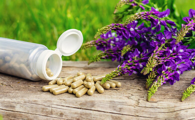 Horny goat wood extract alternative medicine. Selective Focus.