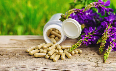 Horny goat wood extract alternative medicine. Selective Focus.