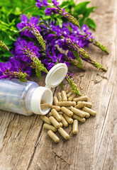 Horny goat wood extract alternative medicine. Selective Focus.