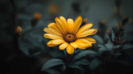 Beautiful close up view of a vibrant yellow flower blossoming in a natural setting