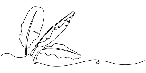 Bird of Paradise Banana Leaf Continuous Line Drawing. Palm leaf in one continuous line drawing. Outline leaf. Element for interior design pro. line art style vector illustration. © UzzalChandra