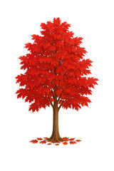 Crimson Tree in Autumn: A vibrant red tree stands tall amidst a scattering of fallen leaves, evoking the vibrant beauty of autumn, perfect for design.