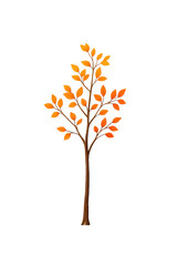 Fototapeta premium Autumnal Tree Silhouette: Depicting a slender tree adorned with vibrant autumnal leaves, evoking the essence of fall's artistry in a minimal yet captivating illustration.