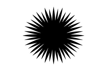 Fototapeta premium Sea Urchin Silhouette Marine Vector Drawing