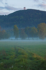 Góra Dzikowiec