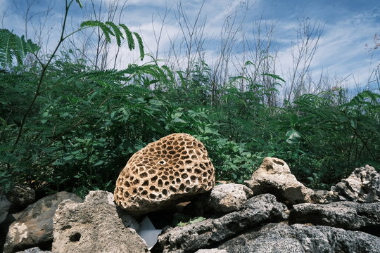 stone holes