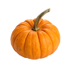 Pumpkin isolated on a transparent background
