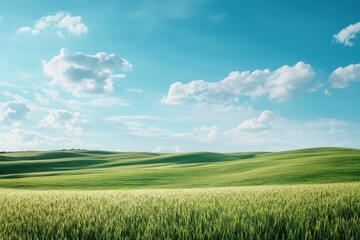 Obraz premium Vast green grass field under a clear blue sky with fluffy white clouds in the background, Landscape of green grass field with blue sky and small hills, Summer nature landscape background
