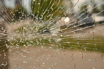 shattered safety glass on a public transport bus stop. The cracks form a circular spiderweb pattern, creating an abstract texture with sharp reflections. The background is softly blurred and shows tre