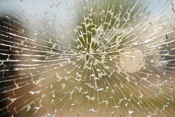shattered safety glass on a public transport bus stop. The cracks form a circular spiderweb pattern, creating an abstract texture with sharp reflections. The background is softly blurred and shows tre