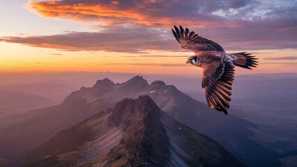 Fototapeta premium Bird of prey soaring over a mountain range at sunset.