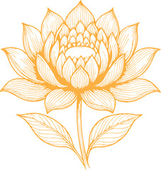 lotus flower vector