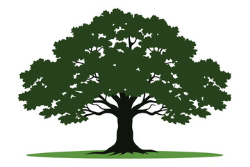 Obraz premium Isolated deciduous tree with green leaves and a dark trunk