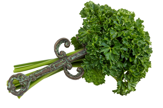 Parsley bunch with antique key design