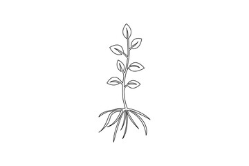 Plant growth process minimalist continuous one line art