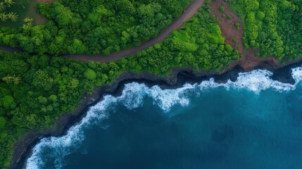 Coastal road amidst lush forest and ocean waves