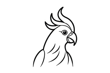 Elegant line art cockatoo bird head profile illustration