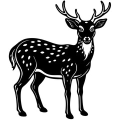 deer vector illustration